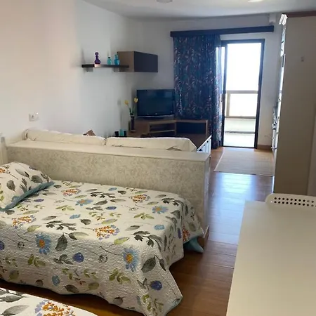 Bonito Estudio Centrico דירה